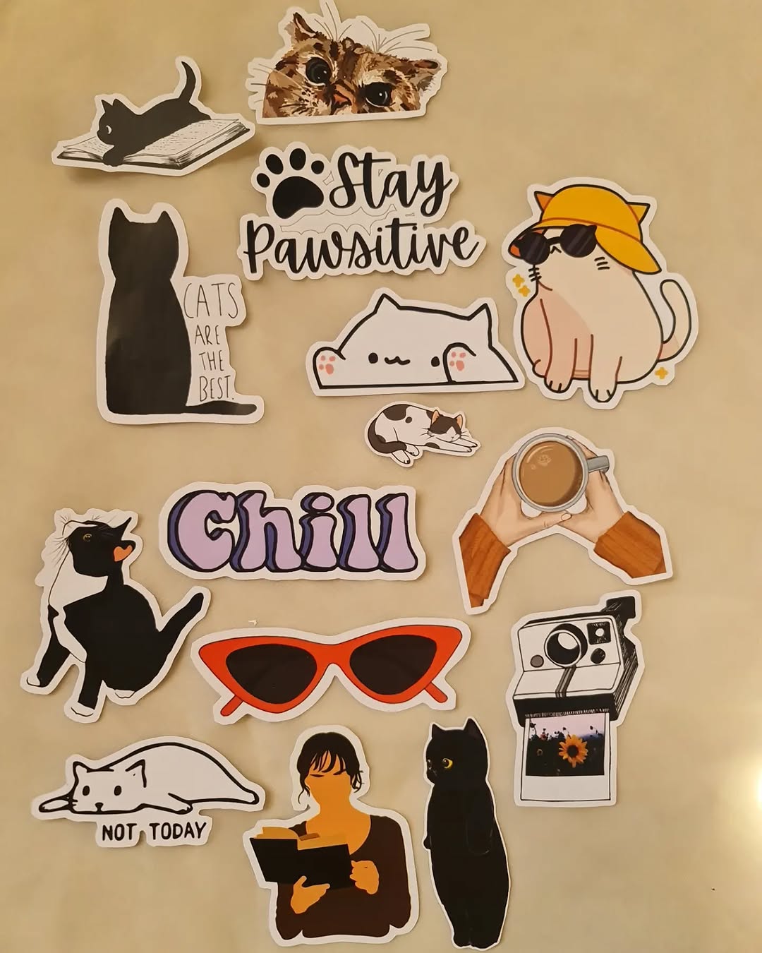 close up of cat stickers showing cute and playful designs