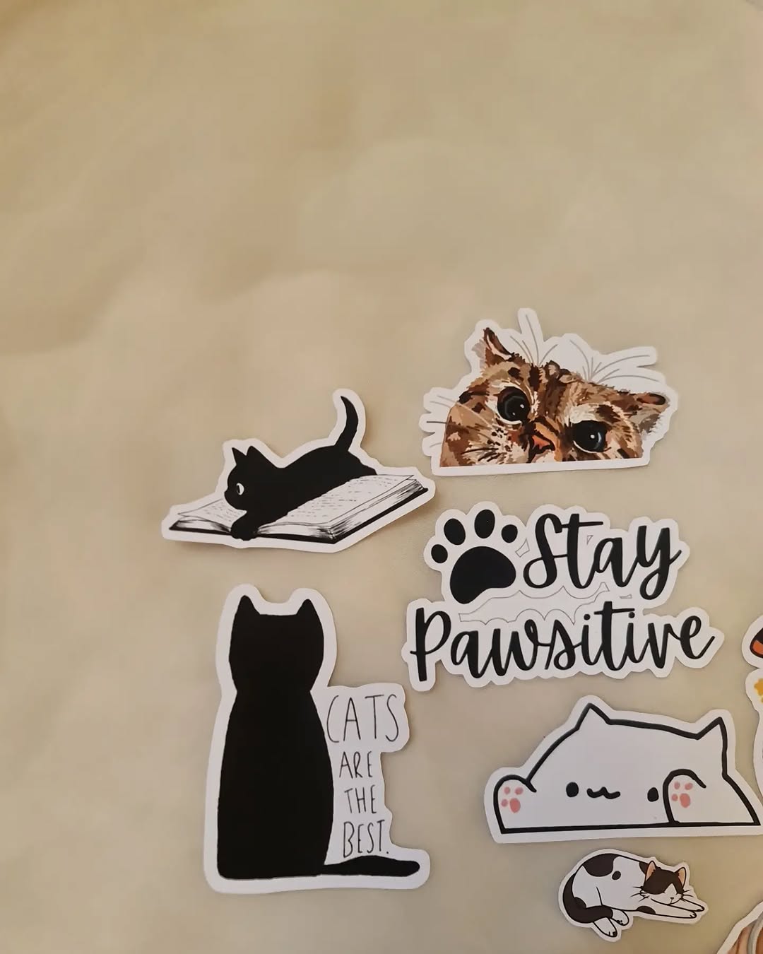 cat stickers used on laptop, journal and everyday decoration