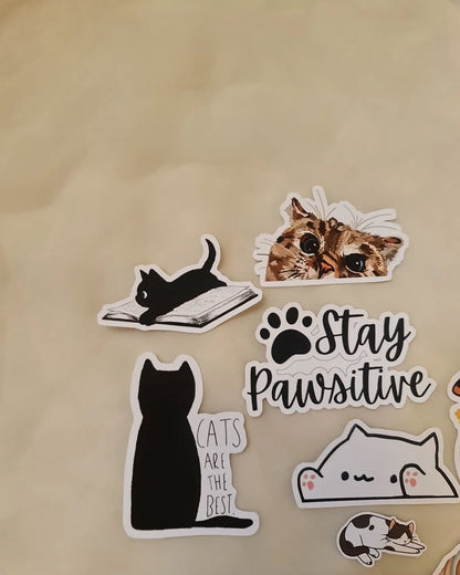 cat stickers used on laptop, journal and everyday decoration