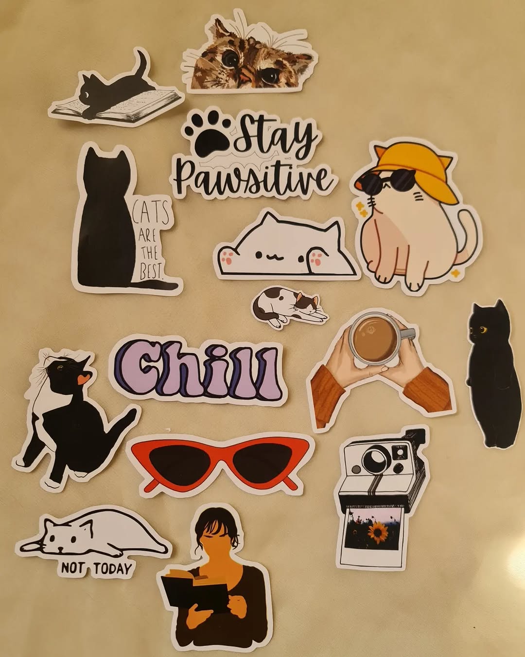 Cats Collection Stickers 🐾 | Aesthetic Laptop Stickers | Artea.pk