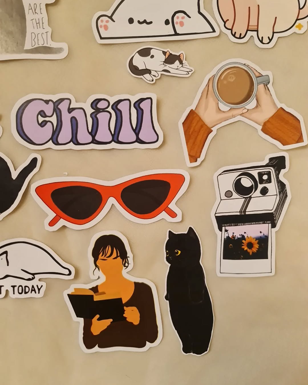 Cats Collection Stickers 🐾 | Aesthetic Laptop Stickers | Artea.pk