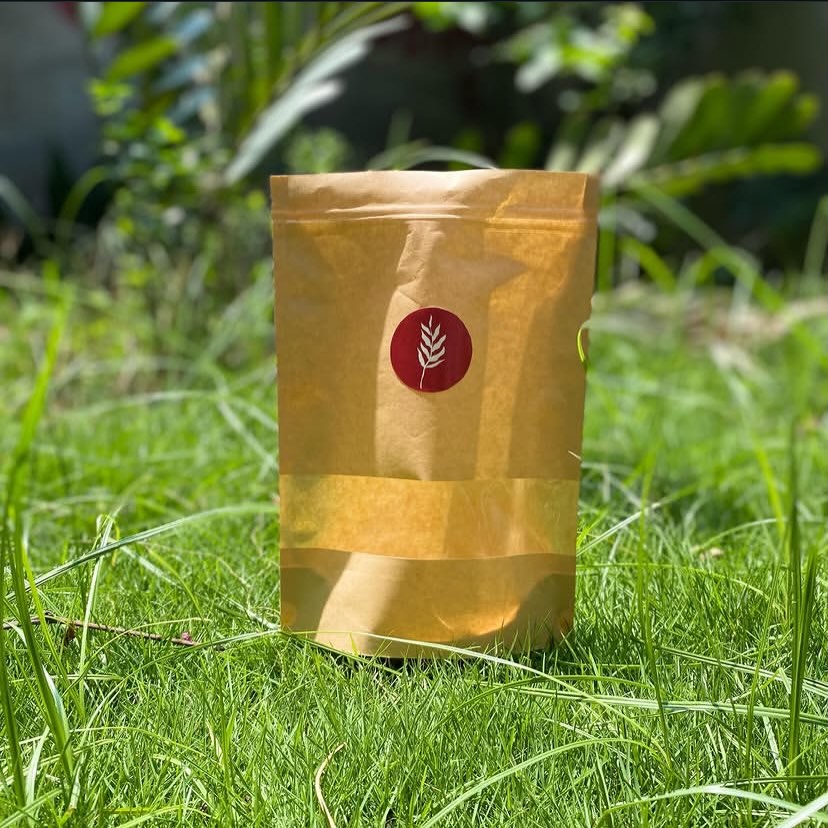 Eco-Friendly Kraft Paper Stand-Up Pouch (Doypack) — 100% Recyclable Food Safe Packaging