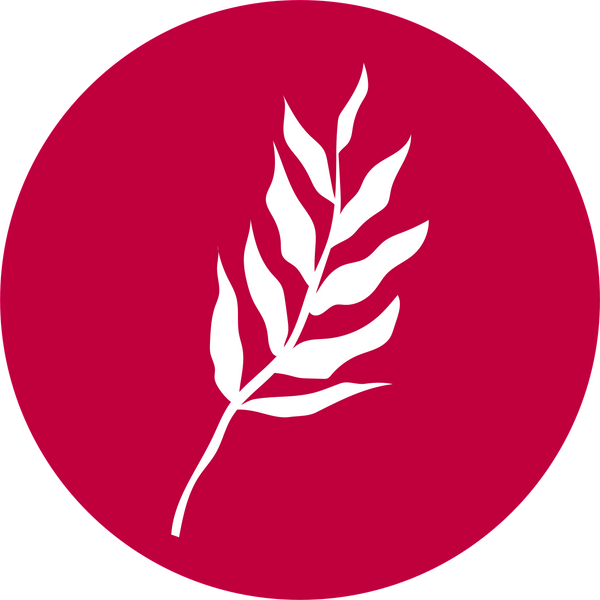Artea